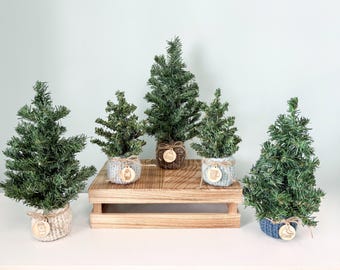 Mini Evergreen Tree: Personalized Knit Cozy, Winter Home Decor