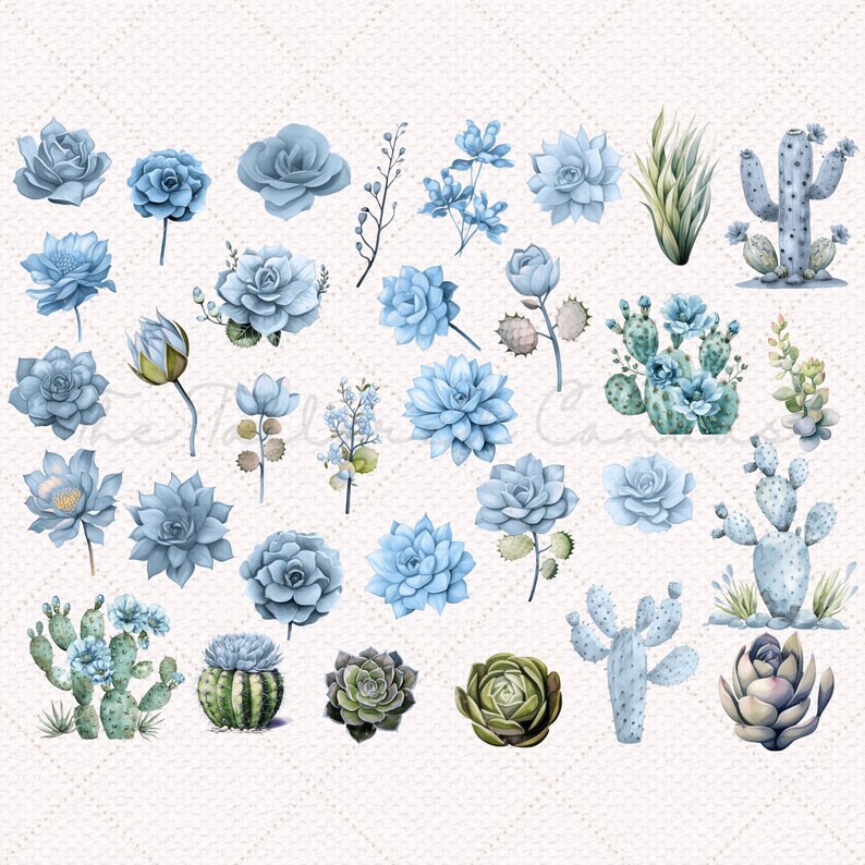 May include: A collection of blue and green watercolor illustrations of succulents and cacti. The illustrations are perfect for crafting, scrapbooking, and other creative projects.