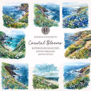 Coastal Blooms Clipart: Watercolor PNG Bundle (Digital Download)