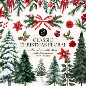 Bundle de cliparts floraux de Noël classique aquarelle - sapin de Noël, verdure hivernale, clipart hiver, poinsettia PNG, fleurs de vacances