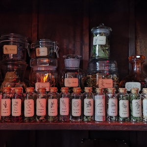 May include: A wooden shelf filled with glass jars containing dried herbs and flowers. The jars are labelled with handwritten labels and are arranged in a row. The jars are all different sizes and shapes. The shelf is dark brown and has a rustic look.