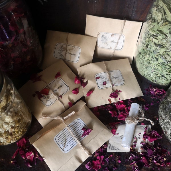 Witchcraft Ingredients + Ritual Scroll (Sachets of magical herbs, potion, apothecary, esotericism, wicca, witch kit...)