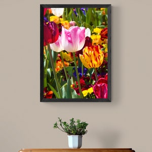 May include: A framed photograph of a colorful bouquet of tulips in various shades of red, pink, yellow, and orange. The tulips are in full bloom and have green stems and leaves.