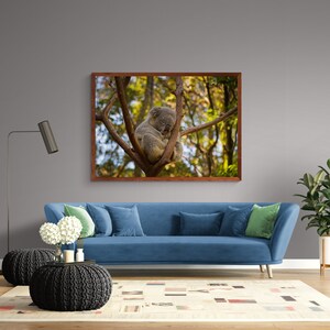 K&ouml;nnte beinhalten: Gerahmter Druck eines Koalas, der in einem Baum schl&auml;ft. Der Koala ist grau und braun, eingebettet zwischen den &Auml;sten. Der Rahmen ist warmbraun, und der Hintergrund zeigt einen verschwommenen Wald mit Sonnenlicht.
