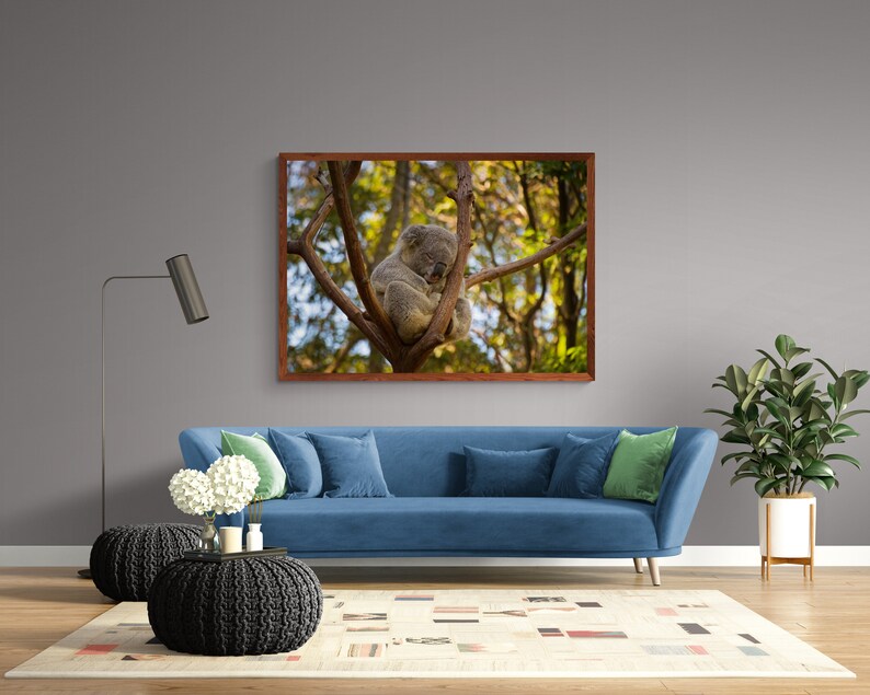 K&ouml;nnte beinhalten: Gerahmter Druck eines Koalas, der in einem Baum schl&auml;ft. Der Koala ist grau und braun, eingebettet zwischen den &Auml;sten. Der Rahmen ist warmbraun, und der Hintergrund zeigt einen verschwommenen Wald mit Sonnenlicht.