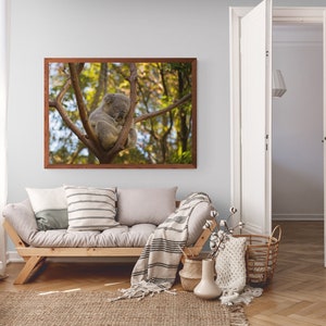 K&ouml;nnte beinhalten: Ein gerahmter Druck eines Koalas, der in einem Baum ruht. Das Kunstwerk h&auml;ngt &uuml;ber einem hellen Holzsofa mit Kissen und einer gestreiften Decke. Der Raum hat eine neutrale Farbpalette, einen gewebten Teppich und Parkettb&ouml;den.