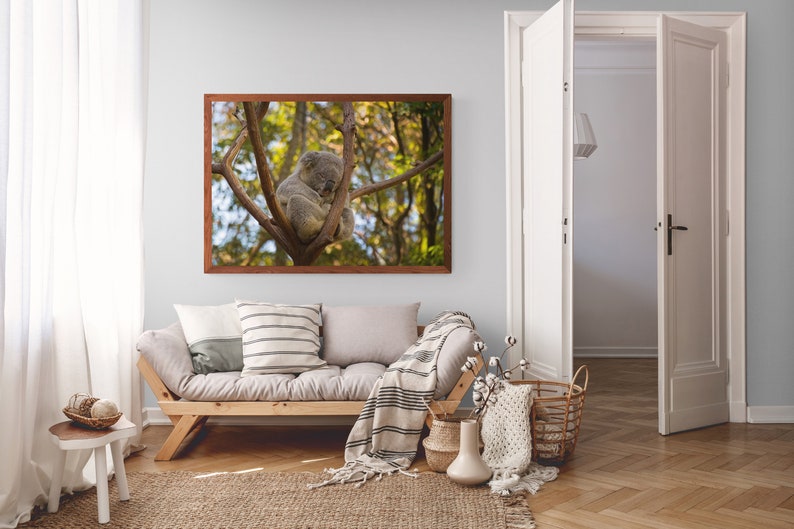 K&ouml;nnte beinhalten: Ein gerahmter Druck eines Koalas, der in einem Baum ruht. Das Kunstwerk h&auml;ngt &uuml;ber einem hellen Holzsofa mit Kissen und einer gestreiften Decke. Der Raum hat eine neutrale Farbpalette, einen gewebten Teppich und Parkettb&ouml;den.