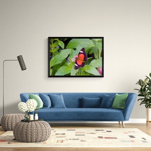 K&ouml;nnte beinhalten: Ein blaues Sofa mit gr&uuml;nen und blauen Kissen in einem Wohnzimmer. Ein gerahmtes Bild eines Schmetterlings mit roten und schwarzen Fl&uuml;geln auf gr&uuml;nem Blattwerk h&auml;ngt an der Wand &uuml;ber dem Sofa. Eine Topfpflanze steht rechts neben dem Sofa.