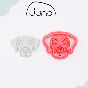 Foremka do wycinania twarzy Golden Retriever: Ciastko z nadrukiem 3D w kształcie psa, glina