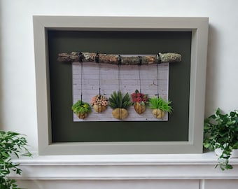 Framed Pebble Art - Hanging Plants with white brick background