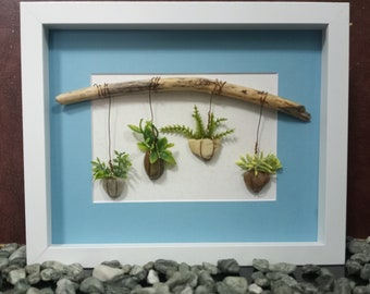 Framed Pebble Art - Hanging Plants White and Blue