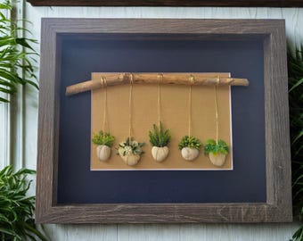 Framed Pebble Art - Hanging Plants with sand color background