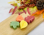 Fall Wax Melt, Pomegranate Scent, Cardamom, Cinnamon and Maple Scent, Orange Colored, Bakery Scent, Thanksgiving Spice Scented