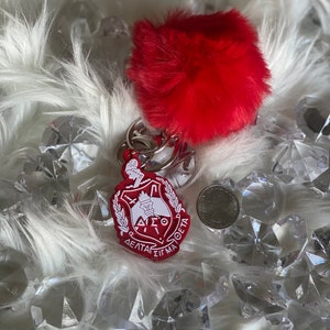 Delta Sigma Theta AirPod Case image 4