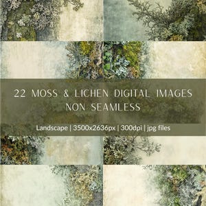 Pacchetto di carta digitale Moss & Lichen, 22 sfondi non continui ispirati alla natura, texture fotorealistica, diari spazzatura, scrapbooking, artigianato