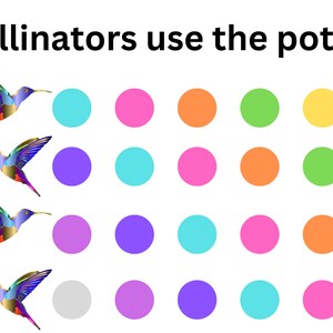 Op de afbeelding: Een speelse afbeelding met de tekst "Pollinators use the potty!" toont vier kleurrijke kolibries en een raster van heldere cirkels in tinten blauw, roze, oranje, groen, paars en geel. Het ontwerp staat tegen een witte achtergrond.