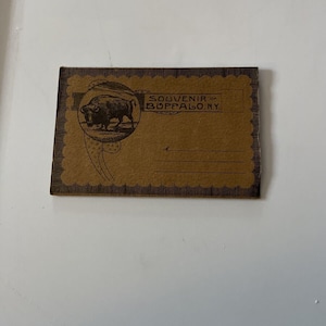Cartão postal de lembrança com cenas desdobráveis de Buffalo, Nova York, início do século XX