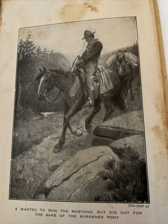 The Young Forester by Zane Grey 1910 Edition Grosset and Dunlap - Etsy