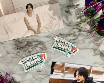 Jungkook Jimin 'Are You Sure?!' Kpop Sticker - Jikook Inspired