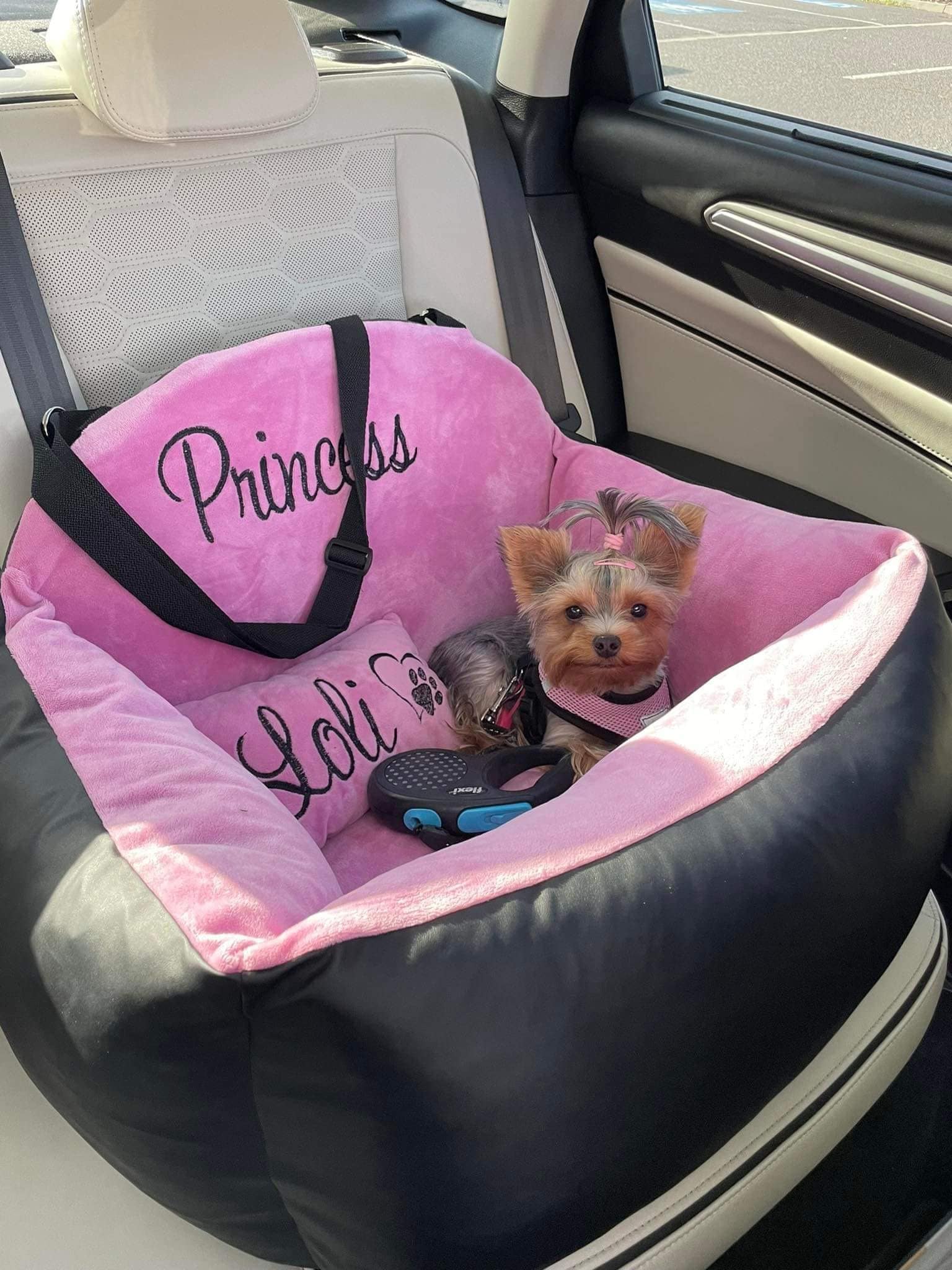 Piccoli Bulldog Pet Seat Covers - Black Piccoli Bulldog Pet Seat Covers - Black
