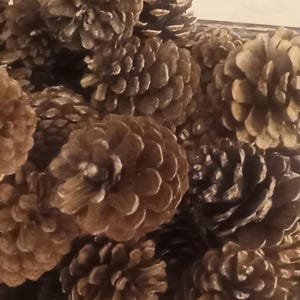 May include: A rectangular metal tray filled with various sizes of brown pine cones. The tray has decorative scroll handles on each side. The pine cones are a mix of light and dark brown.