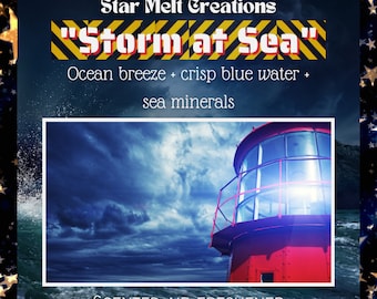 Storm at Sea Car Freshener, Car Air Freshener, Car Freshie, Car Freshener Hanging, Scented Air Freshener, Fun Car Accessories, Beach Scents