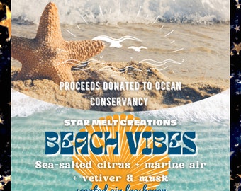 Beach Vibes Car Air Freshener, Car Freshie, Car Fragrance, Salty Citrus Scent, Rearview Mirror Accessories
