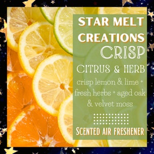 Crisp Citrus & Herb Car Freshener, Car Air Freshener, Car Freshie, Car Freshener Hanging, Scented Air Freshener, Cute Car Accessories