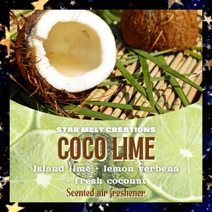Coco Lime Car Freshener, Car Air Freshener, Car Freshie, Car Freshener Hanging, Scented Air Freshener, Cute Car Air Freshener