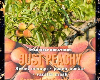 Just Peachy Car Freshener, Car Air Freshener, Car Freshie, Car Freshener Hanging, Scented Air Freshener, Cute Car Air Freshener, Peaches