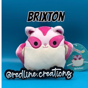 Personalized 5 Inch Squishmallows - Gift