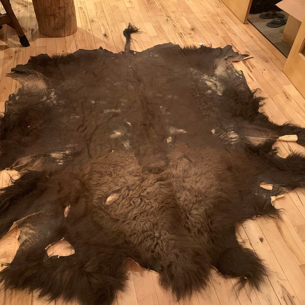 American Bison Hide 006 (Quarto Grado)