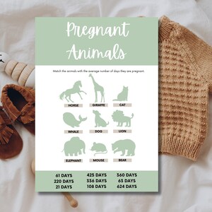 Baby Shower Matching Game | Printable Baby Shower Activity | Boho Modern Baby Shower | Fun Baby Shower PDF Game | Digital Download