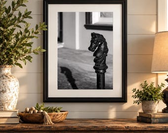 May include: A black and white framed wall art print featuring a close-up of a dark, ornate metal horse head sculpture mounted on a vertical post. The sculpture is positioned on a paved surface with a long, distinct shadow cast to the left side.