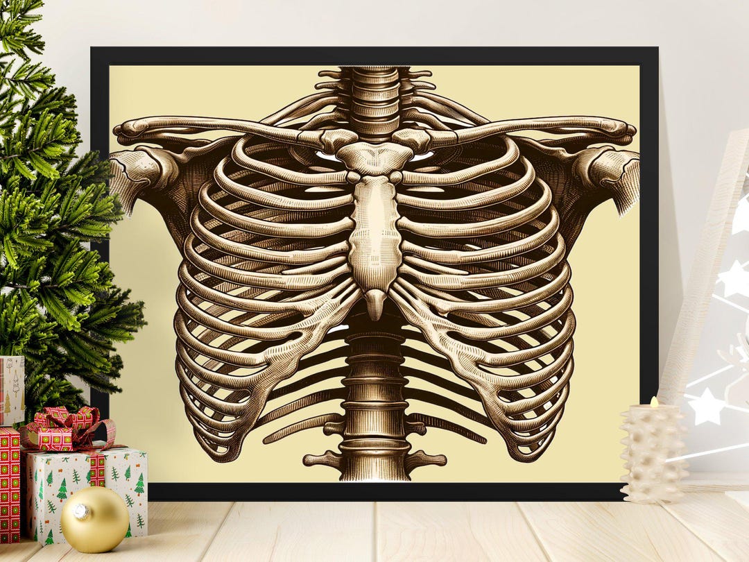 Out Getting Ribs Art Digital Download Human Ribs Wall Art, Biology Wall Art for Print ...