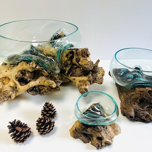 Molten Glass Bowl Decorative Bowl On Wood Root Stand Glass Rustic Ornament Sculpture Key Sweet Display Dish