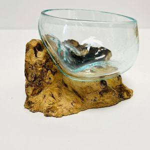 Molten Glass Bowl Decorative Bowl On Wood Root Stand Glass Rustic Ornament Sculpture Key Sweet Display Dish