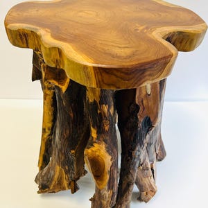 May include: A handcrafted wooden side table with a distinctive, irregular form. The tabletop is a light brown with a polished finish. The base is constructed from dark brown, textured tree roots, offering a rustic and natural appearance.