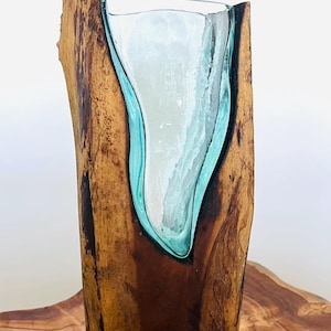 May include: A handcrafted wooden vase with a clear glass insert. The vase is made from a single piece of wood, with a natural, organic shape. The glass insert has a teal-colored border and a white interior, creating a striking contrast. The vase is displayed on a wooden surface.