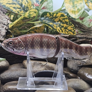 May include: A multi-jointed fishing lure shaped like a fish with a brown and tan scale pattern, a clear plastic tail, and two metal treble hooks attached to the underside. The lure is mounted on a clear acrylic stand for display purposes.