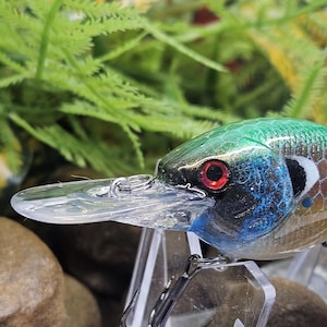 May include: A close-up of a fishing lure with a clear plastic lip. The lure features a green and blue head with a red eye and a silver hook. The body is brown and silver with a scale pattern. The lure is designed to attract fish.