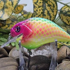 3.5 Big s-crank squarebill. Custom Florescent rainbow shad.