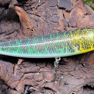 4&quot; Topwater popper / walker with feathered treble.