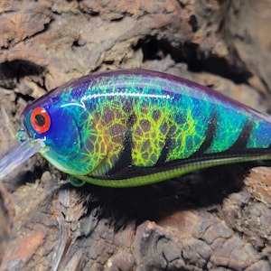 May include: A colorful fishing lure with a clear plastic lip. The lure features a vibrant design with shades of blue, green, and yellow, and a red eye. The lure is resting on a piece of driftwood.