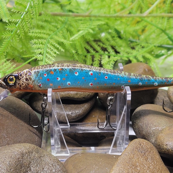 4.5" Brook Trout 110 jerkbait.