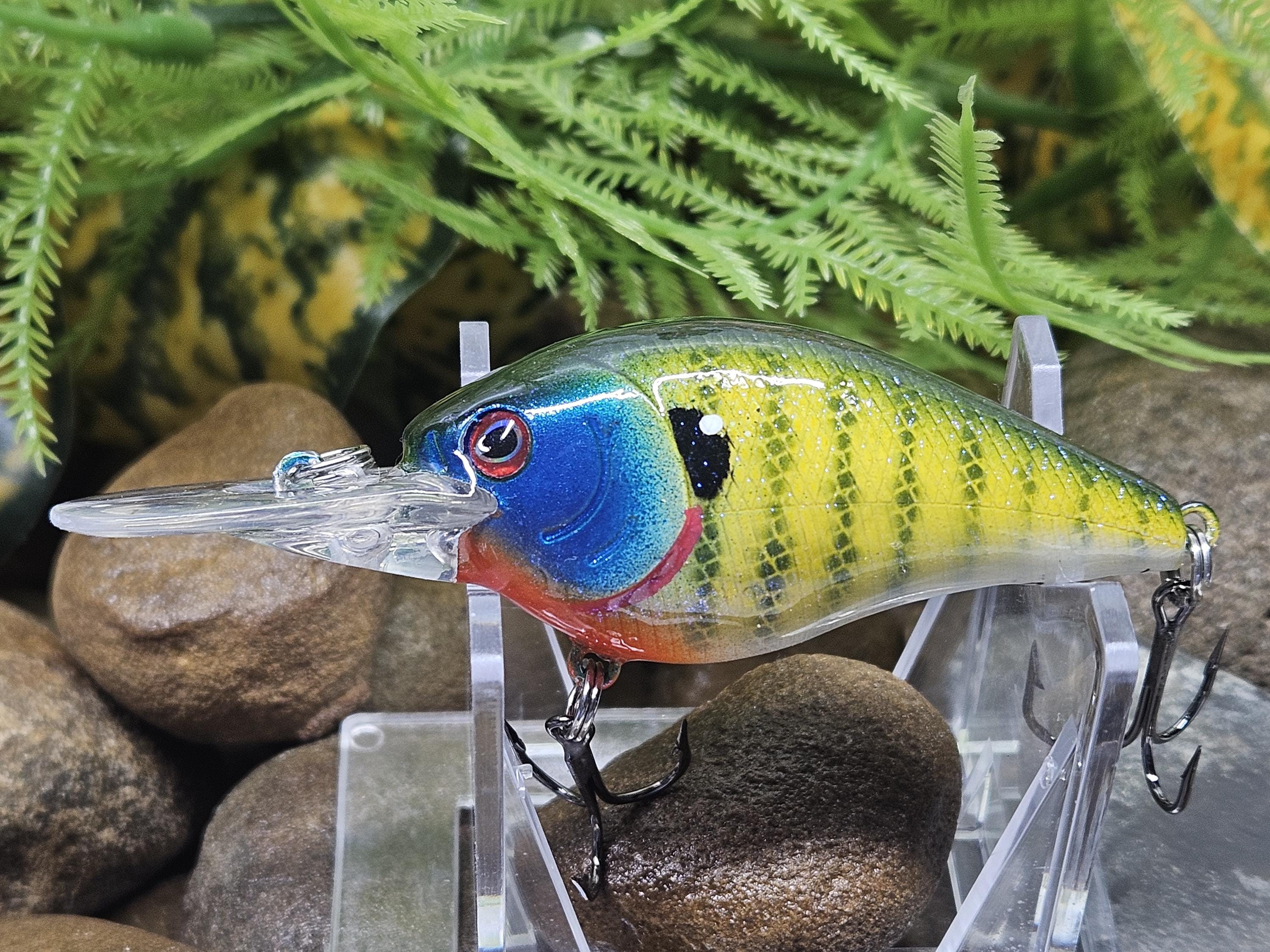 Crankbait Sans Lèvres Custom Peint - Leurre De Pêche Bass - Taille Hameçon 4