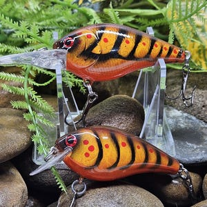 May include: Two fishing lures with a clear plastic lip and two treble hooks. The lures are painted with an orange and black tiger stripe pattern, with red accents. The lures are displayed on a clear plastic stand, with a background of rocks and greenery.