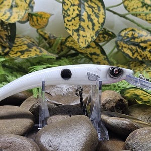 Walleye runner colorshift white. 6&quot;