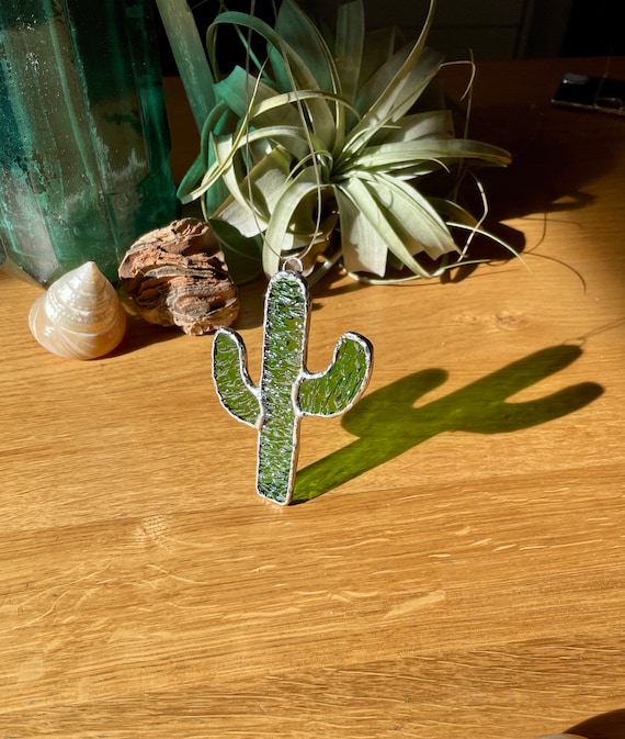 Cactus Travel Kit - 4 inch - Arizona Gifts