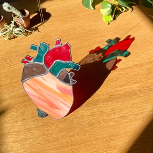 Stained Glass Anatomical Heart Suncatcher: Boho Window Decor